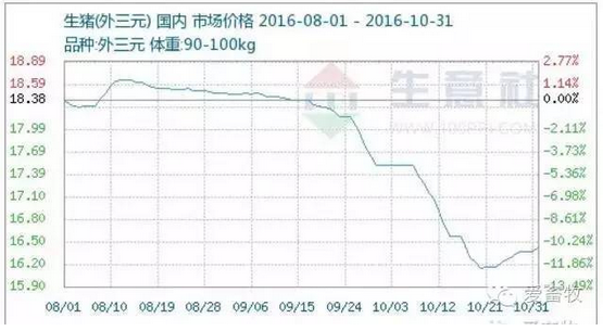 史上最强猪周期恐落幕，中国未来或迎来谁来养猪问题！