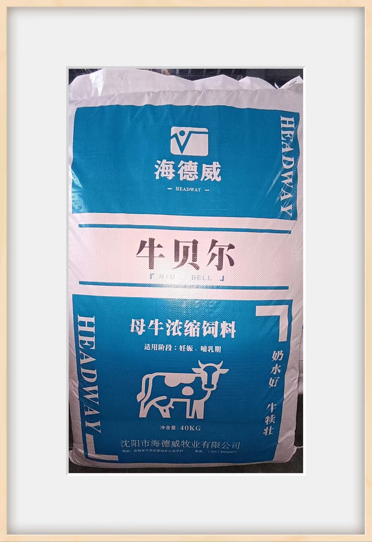 牛贝尔